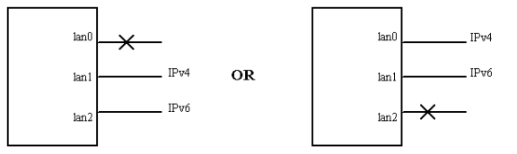 Example 1: IPv4 and IPv6 Addresses after Failover to Standby